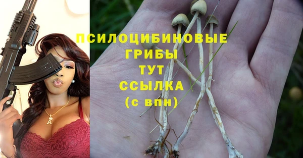 прущие грибы Алзамай