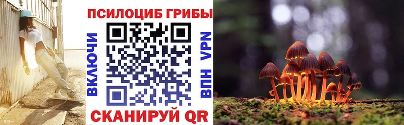 Псилоцибиновые грибы GOLDEN TEACHER наркота Ленинск